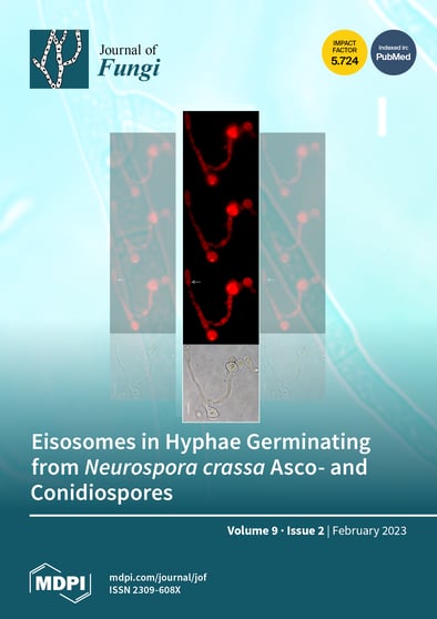 Journal Issue Cover Image