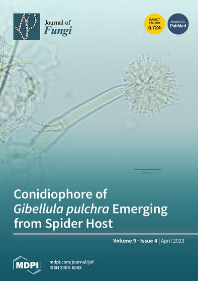 Journal Issue Cover Image