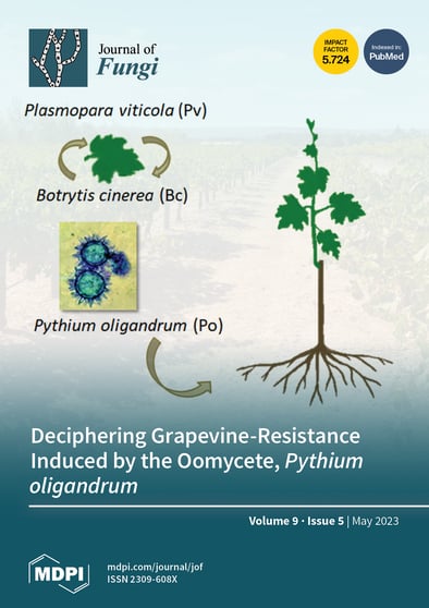 Journal Issue Cover Image