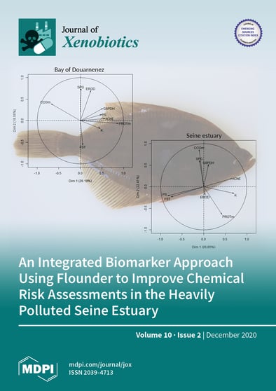 Journal Issue Cover Image