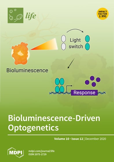 Journal Issue Cover Image