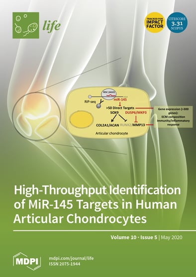 Journal Issue Cover Image
