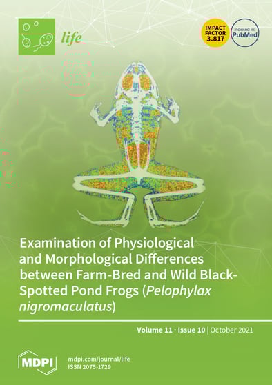 Journal Issue Cover Image