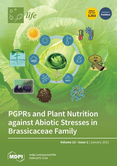 Journal Issue Cover Image