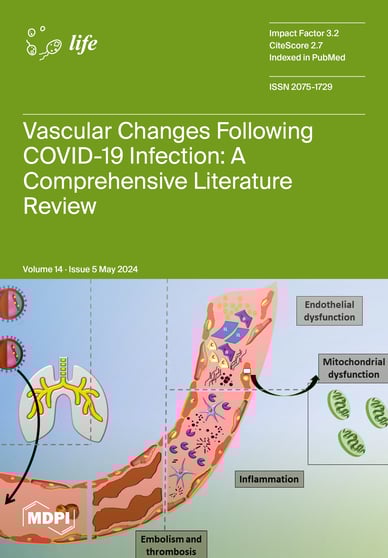 Journal Issue Cover Image