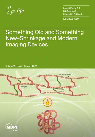 Journal Issue Cover Image