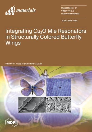 Journal Issue Cover Image