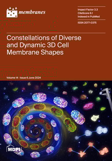 Journal Issue Cover Image