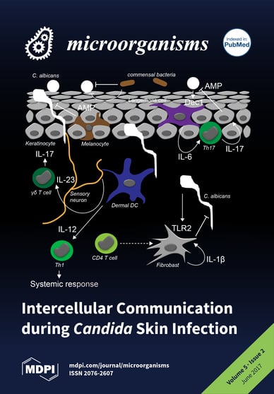 Journal Issue Cover Image