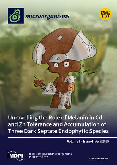 Journal Issue Cover Image