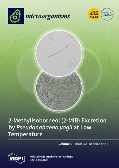 Journal Issue Cover Image