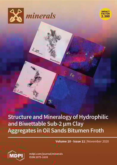 Journal Issue Cover Image