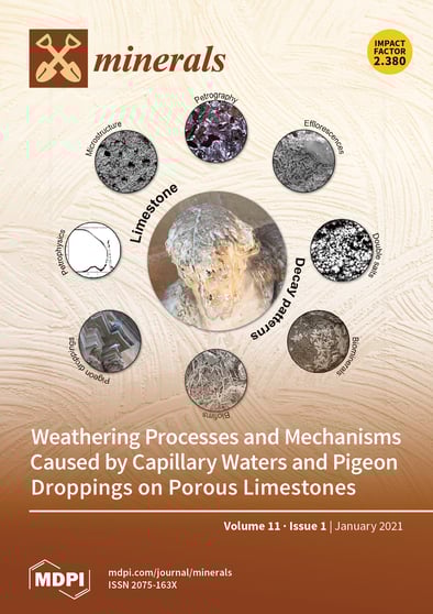 Journal Issue Cover Image