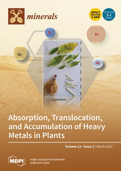 Journal Issue Cover Image