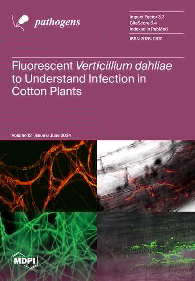 Journal Issue Cover Image