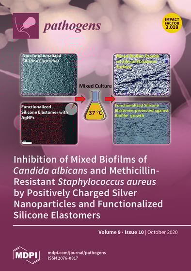 Journal Issue Cover Image