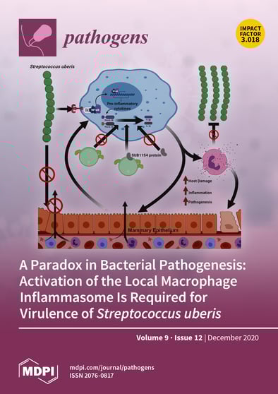 Journal Issue Cover Image