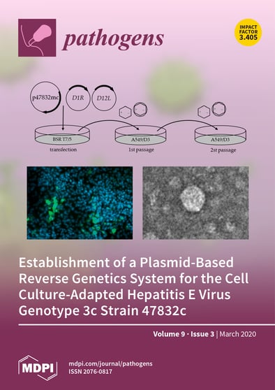 Journal Issue Cover Image