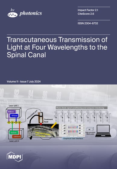 Journal Issue Cover Image