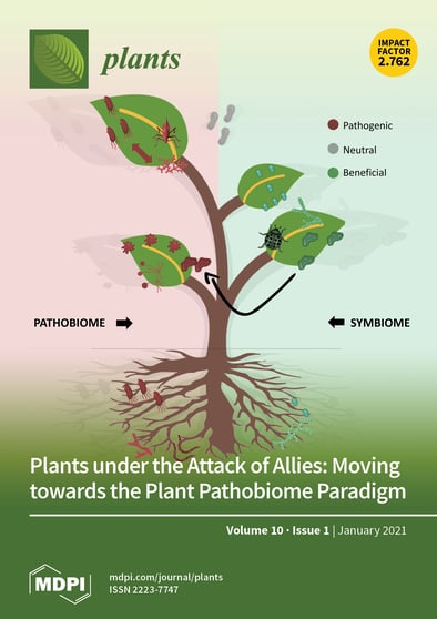 Journal Issue Cover Image