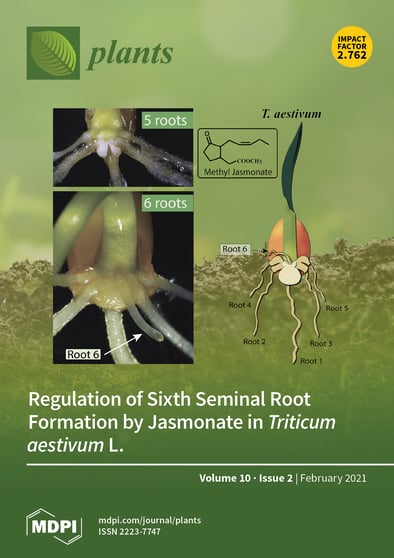 Journal Issue Cover Image