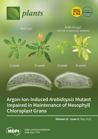 Journal Issue Cover Image