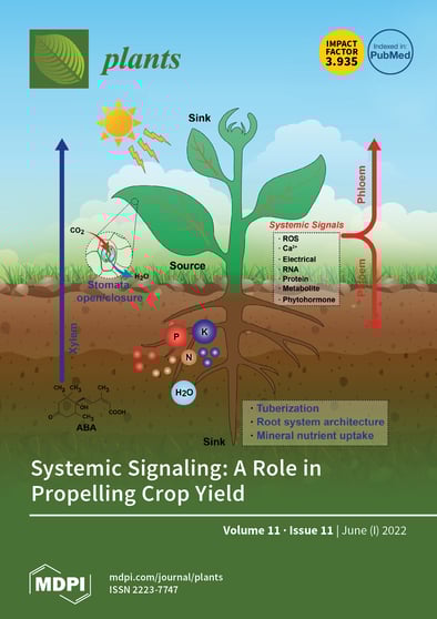 Journal Issue Cover Image