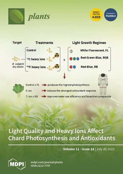 Journal Issue Cover Image