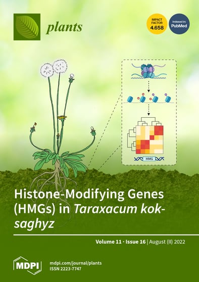 Journal Issue Cover Image