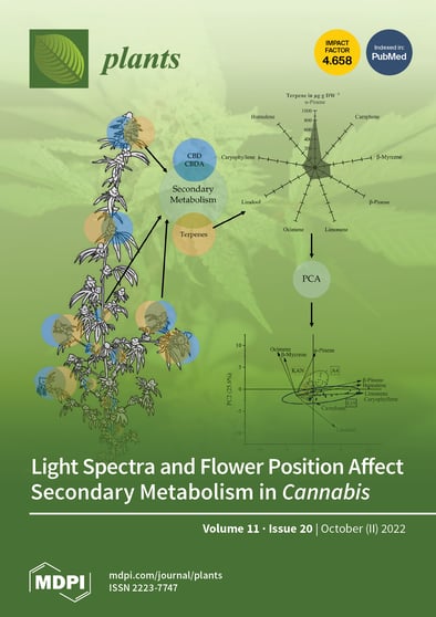 Journal Issue Cover Image