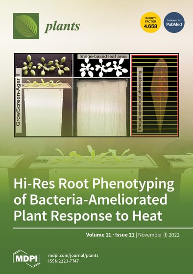 Journal Issue Cover Image