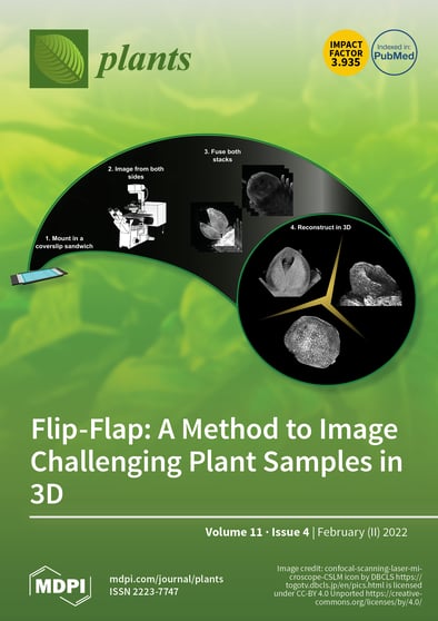 Journal Issue Cover Image