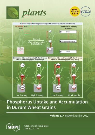 Journal Issue Cover Image
