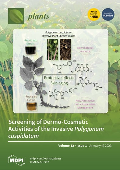 Journal Issue Cover Image