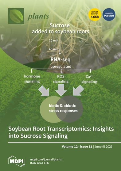 Journal Issue Cover Image