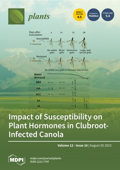 Journal Issue Cover Image