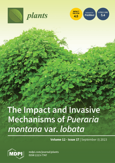 Journal Issue Cover Image