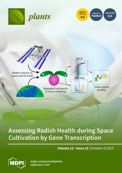 Journal Issue Cover Image