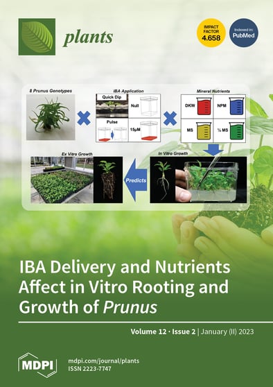 Journal Issue Cover Image