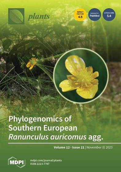 Journal Issue Cover Image