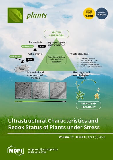 Journal Issue Cover Image