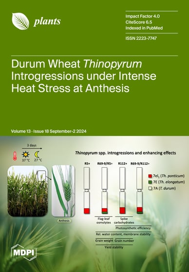 Journal Issue Cover Image