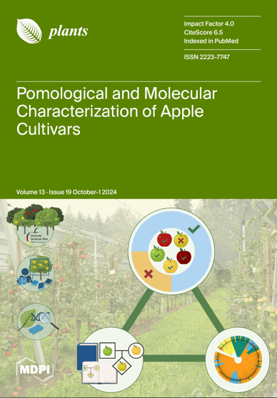 Journal Issue Cover Image