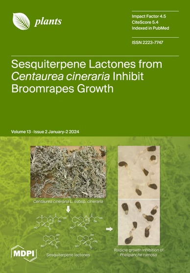 Journal Issue Cover Image