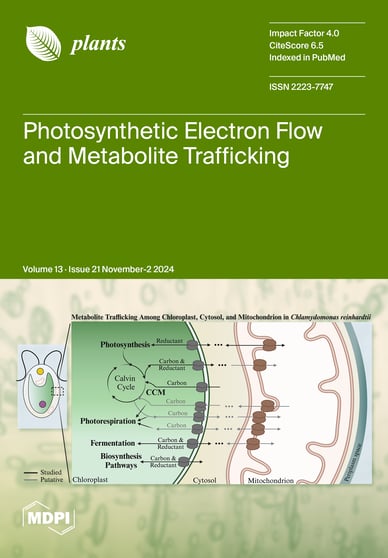 Journal Issue Cover Image