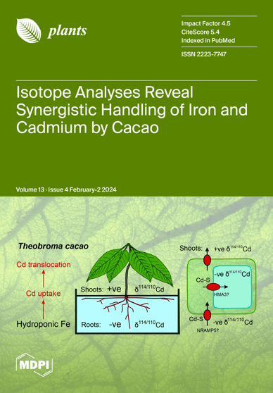 Journal Issue Cover Image