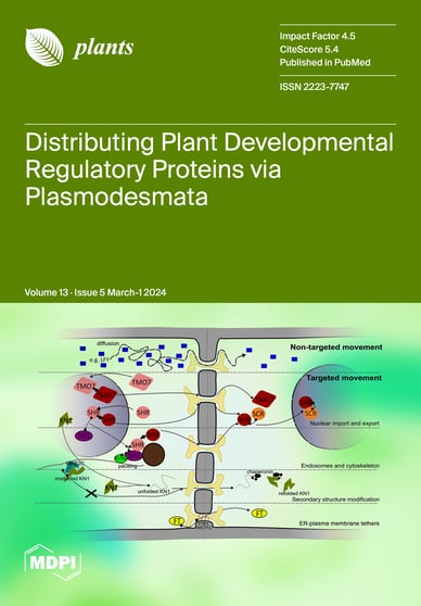 Journal Issue Cover Image