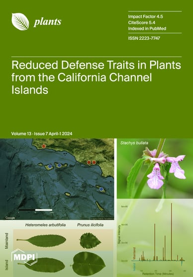 Journal Issue Cover Image