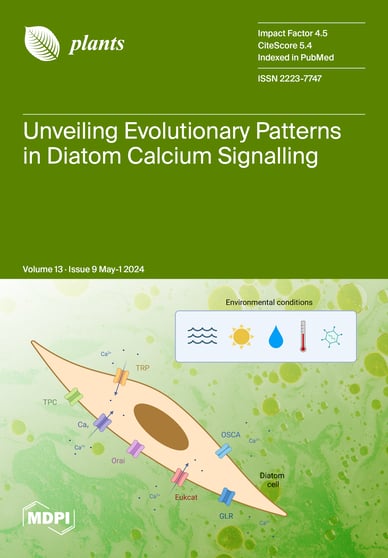 Journal Issue Cover Image