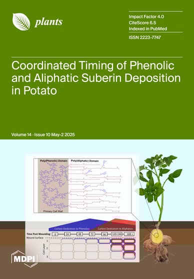 Journal Issue Cover Image